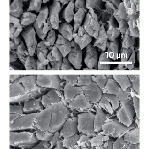 Image result for Chromium Waste From Modjo