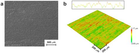 Combined Porous-Monolithic TiNi Materials Surface-Modified with ...