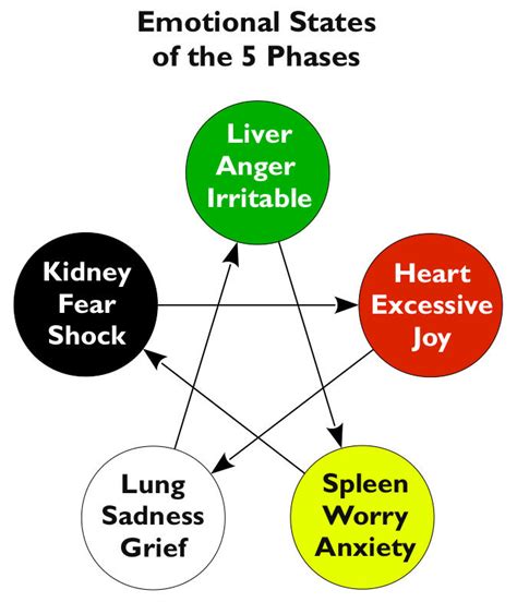Tung Acupuncture Classes in Chennai | Tung Acupuncture Courses in ...