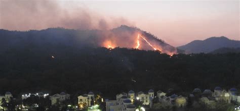 With More Than Three Fires In One Week At Yeoor Forest, Mumbai's Green ...