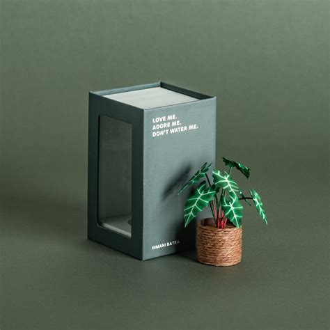 Miniature Plants – Himani's Art Studio