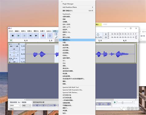 Using Audacity Software 的图像结果