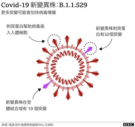 新冠病毒变异毒株Omicron：世卫组织警告全球有“非常高感染风险”-搜狐大视野-搜狐新闻