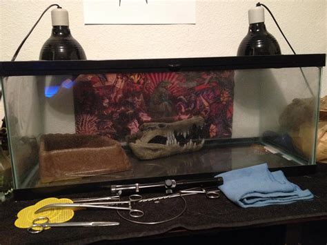 Image result for Tank X for Java Net Lizard