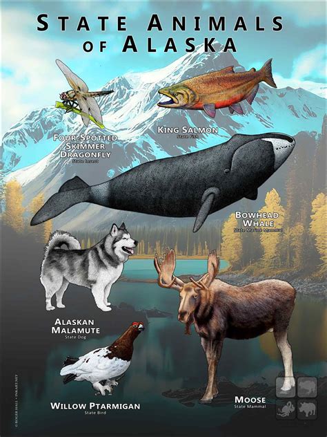 Alaska State Animals Poster Print | Animal posters, Animal facts, Animals