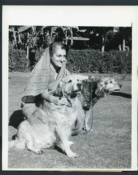 Prime Minister Indira Gandhi with Two Golden Retrievers - 1968 - Old ...