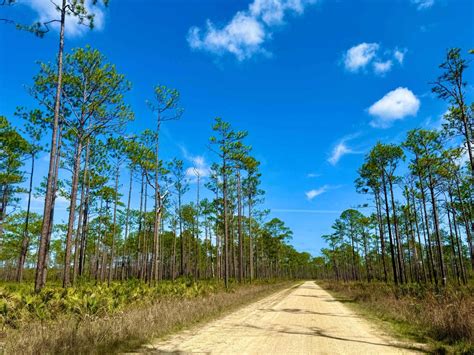 Forest Highway 13 East, Florida - GPS Trail Map, Conditions ...