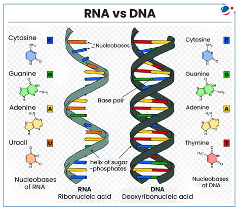 Genome India Project (GIP) | Current Affairs | Vision IAS
