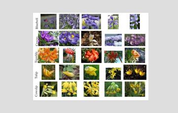 aiTouch - Data Science, Artificial Intelligence, Annotations, Analytics