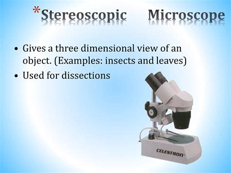 Light Microscope Examples 的图像结果