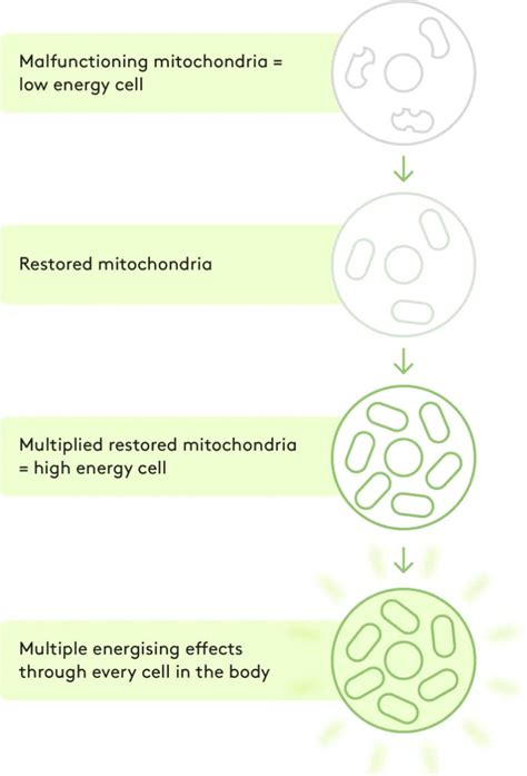 Energy Human 的图像结果