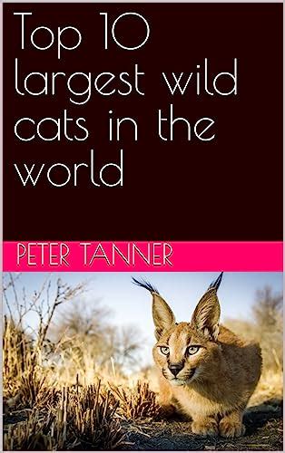 Top 10 largest wild cats in the world eBook : Tanner, Peter: Amazon.in ...