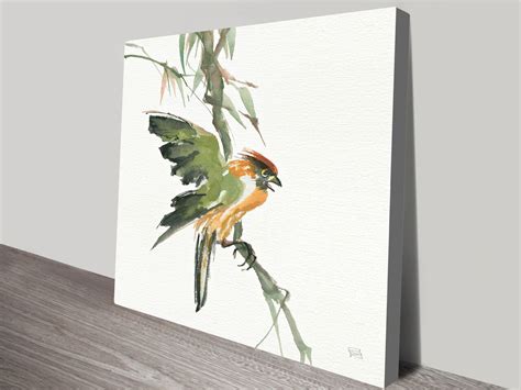 Image result for Formosan Firecrest