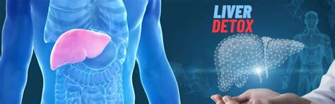 Embracing Holistic Wellness: DEMYSTIK's LIVER DETOX Unveiled