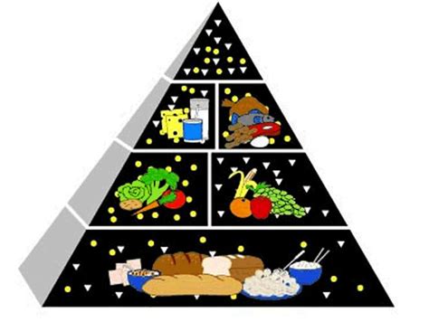 Image result for Food Pyramid Menu Pattern