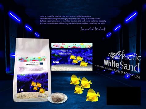 Aquatic Remedies Wild Pacific White Sand, 5 Kg | Imported Natural White ...
