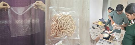 MentorAndYou – Student Mentorship Platform | Connect with Industry Experts