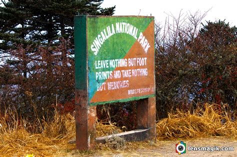 Sandakphu Trek Singalila National Park | Lensmagik.com