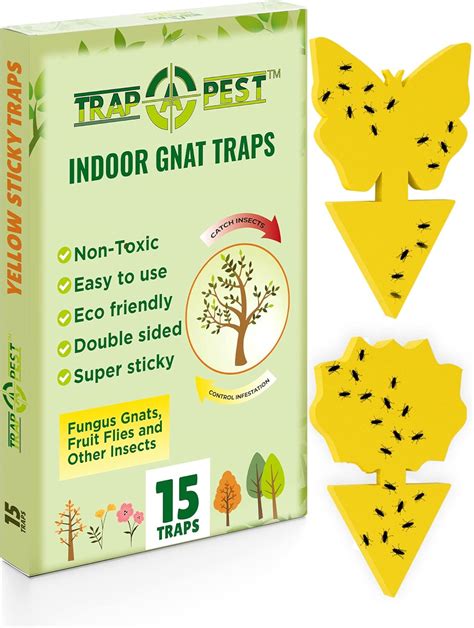 Buy 15 pcs Gnat Traps for House Indoor, Fungus Gnat Sticky Traps for ...