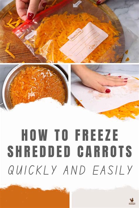 How to Freeze Shredded Carrots Quickly and Easily