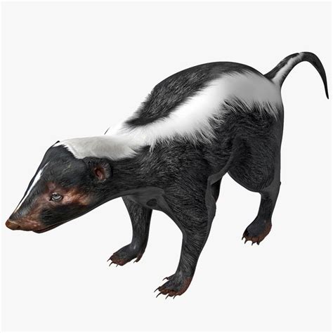 Image result for Splunk 3D Model