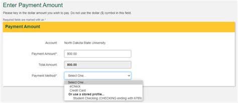 Online Payment via Campus Connection (General) | North Dakota State ...