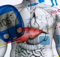 Liver and Diabetes: A Vicious Cycle
