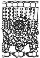 What is the correct difference between the following diagrams?