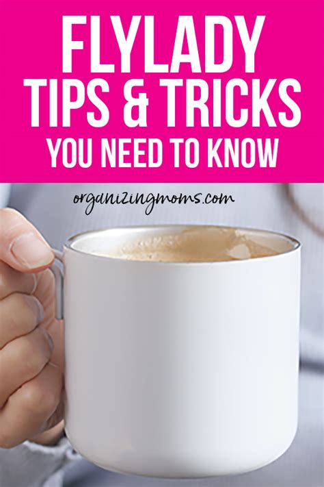 How to Start FlyLady 的图像结果