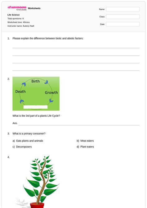 50+ Class 3 worksheets on Wayground | Free & Printable