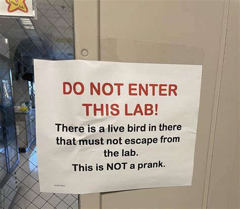 Image result for Scary Lab Sign