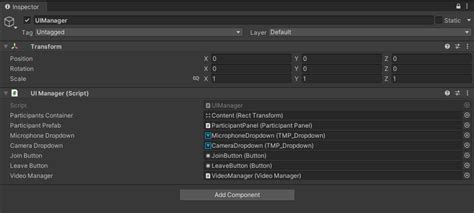 Stream Video Unity 的图像结果