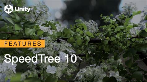 Image result for Unity SpeedTree Tutorial