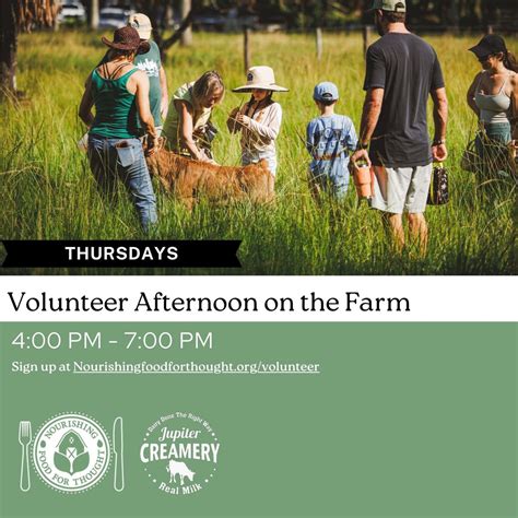 Volunteer/ Open Farm Thursday Afternoon 4-7 PM Come volunteer, hang out ...