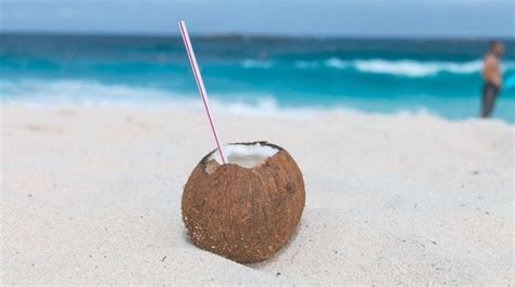 fungsi manfaat air kelapa tua