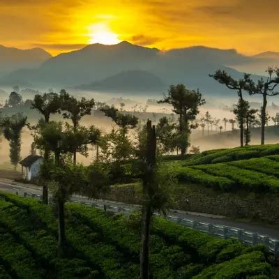 Attractions, Hill-stations Tours and Packages: Best Time To Visit ...