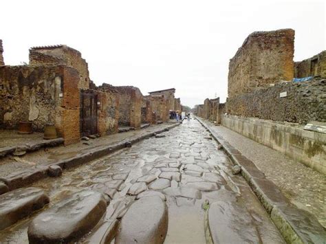 通过庞贝古城遗骸的基因研究了解古代罗马 | 新华侨网