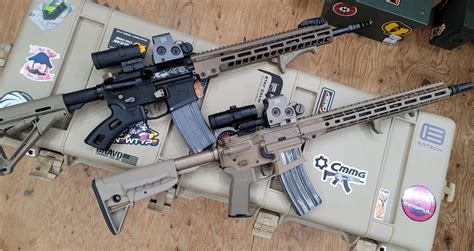 Image result for Fixed Mag ARVs Featureless