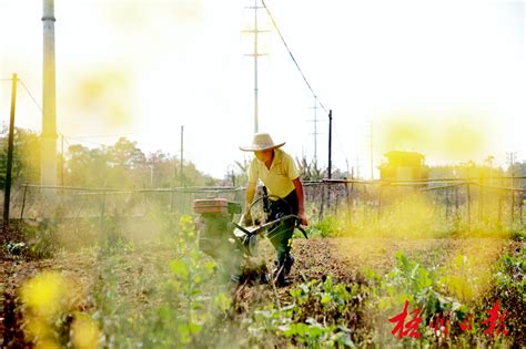 春耕忙！梧州市已春种粮食作物38.88万亩_腾讯新闻
