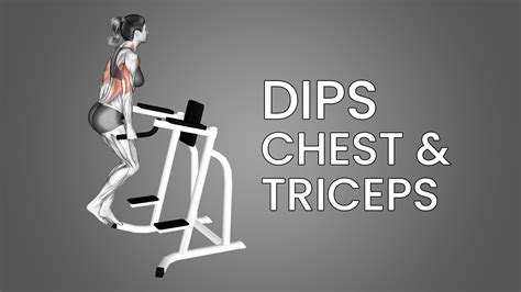 Dips (Chest and Triceps): Benefits, Muscles Worked, and More - Inspire US