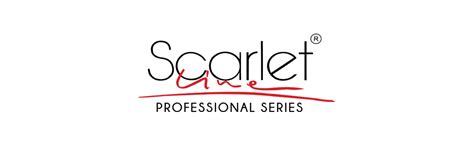 Scarlet Line Small Double Sided Foldable Purse Mirror for Women Rose ...