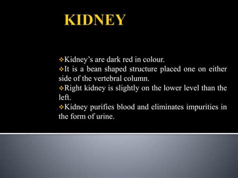 Image result for Kidney Tutorial