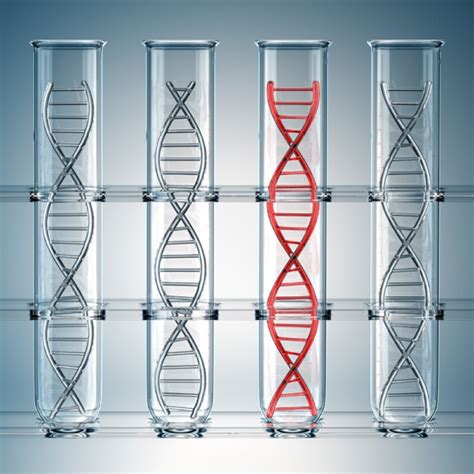 Image result for Genomics Testing