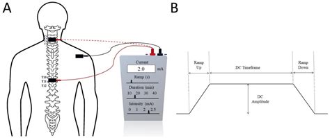 Trans-Spinal Electrical Stimulation Therapy for Functional Rehabilitation after Spinal Cord ...