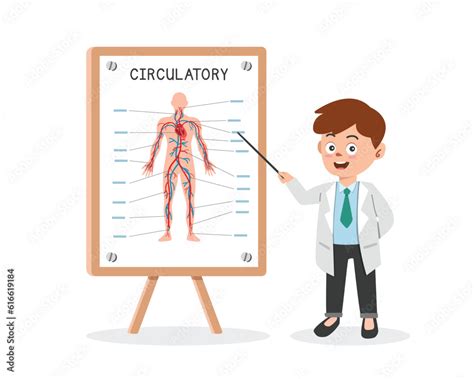 Image result for Cardiovascular System Cartoon