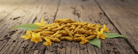 turmeric-roots – BookEPooja