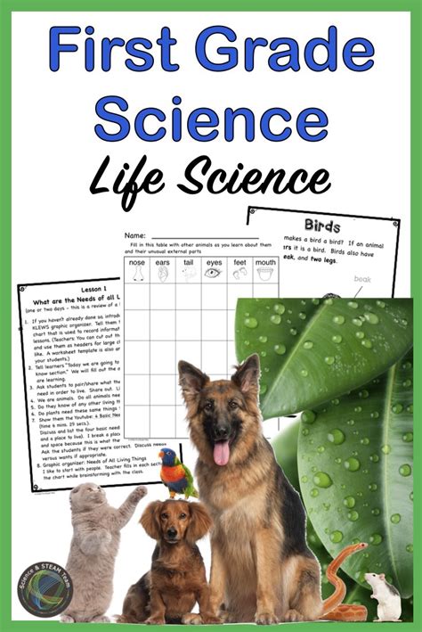Image result for First Graders Science Common Core