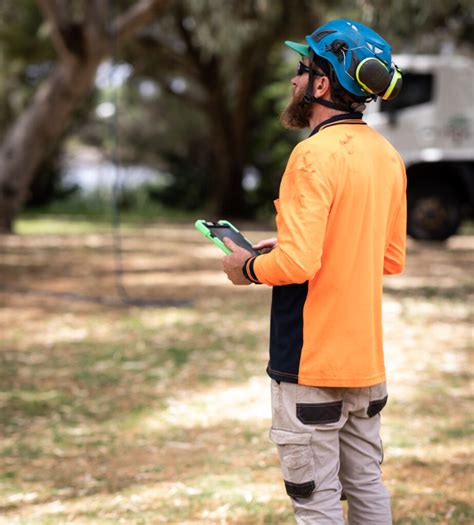 Image result for Tree Jack Software