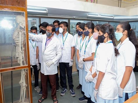 SNJB : Medical Departments Anatomy