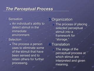 Image result for Understanding Perceptions